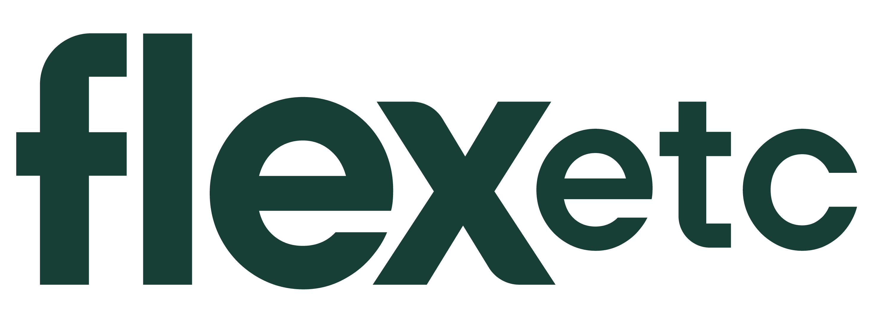 flex-etc-thumbnail-copy2